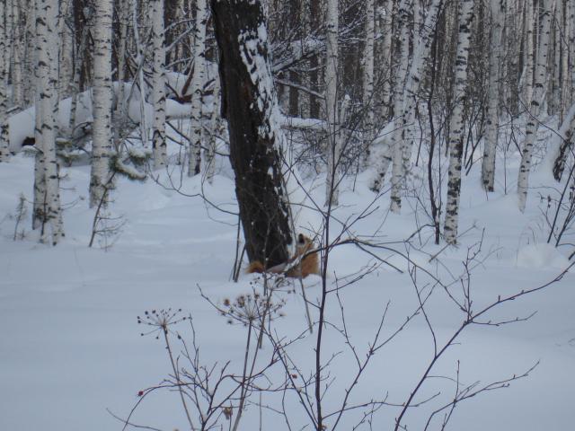 DSC07043.JPG